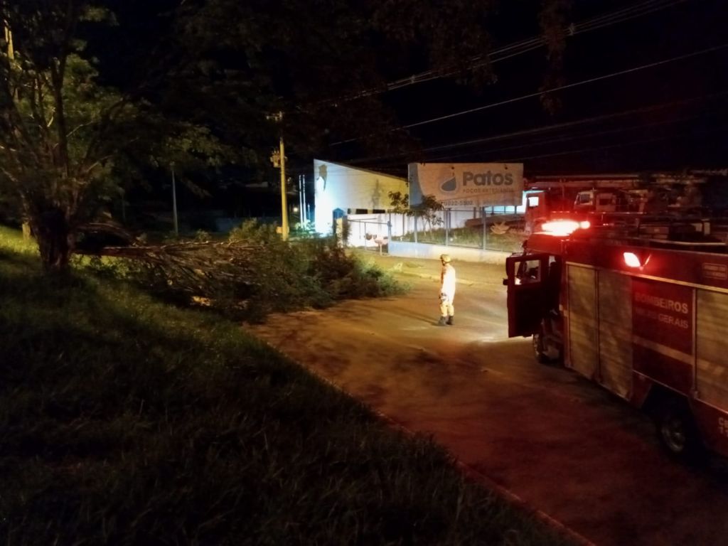 Bombeiros cortam árvore que caiu na Avenida JK | Patos Agora - A notícia no seu tempo - https://patosagora.net