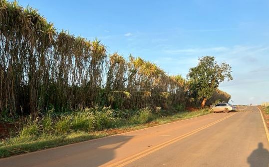 Jovem morre após colidir em árvore na estrada de Campo Alegre em Lagoa Formosa | Patos Agora - A notícia no seu tempo - https://patosagora.net