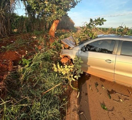Jovem morre após colidir em árvore na estrada de Campo Alegre em Lagoa Formosa | Patos Agora - A notícia no seu tempo - https://patosagora.net