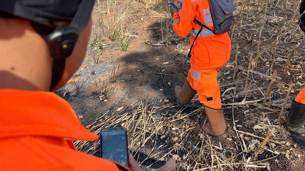 Corpo de Bombeiros realiza treinamento na Mata do Cachorro | Patos Agora - A notícia no seu tempo - https://patosagora.net