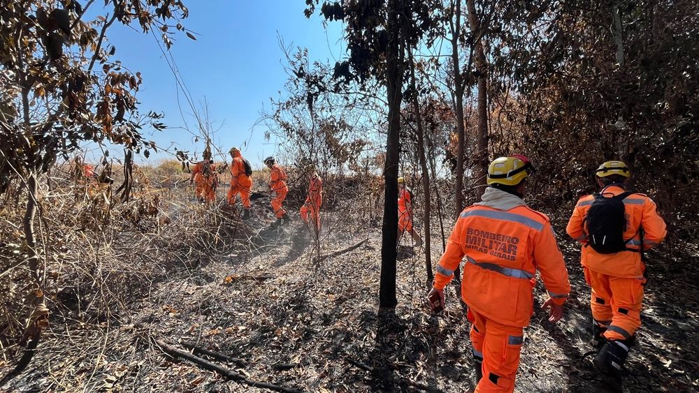 Corpo de Bombeiros realiza treinamento na Mata do Cachorro | Patos Agora - A notícia no seu tempo - https://patosagora.net