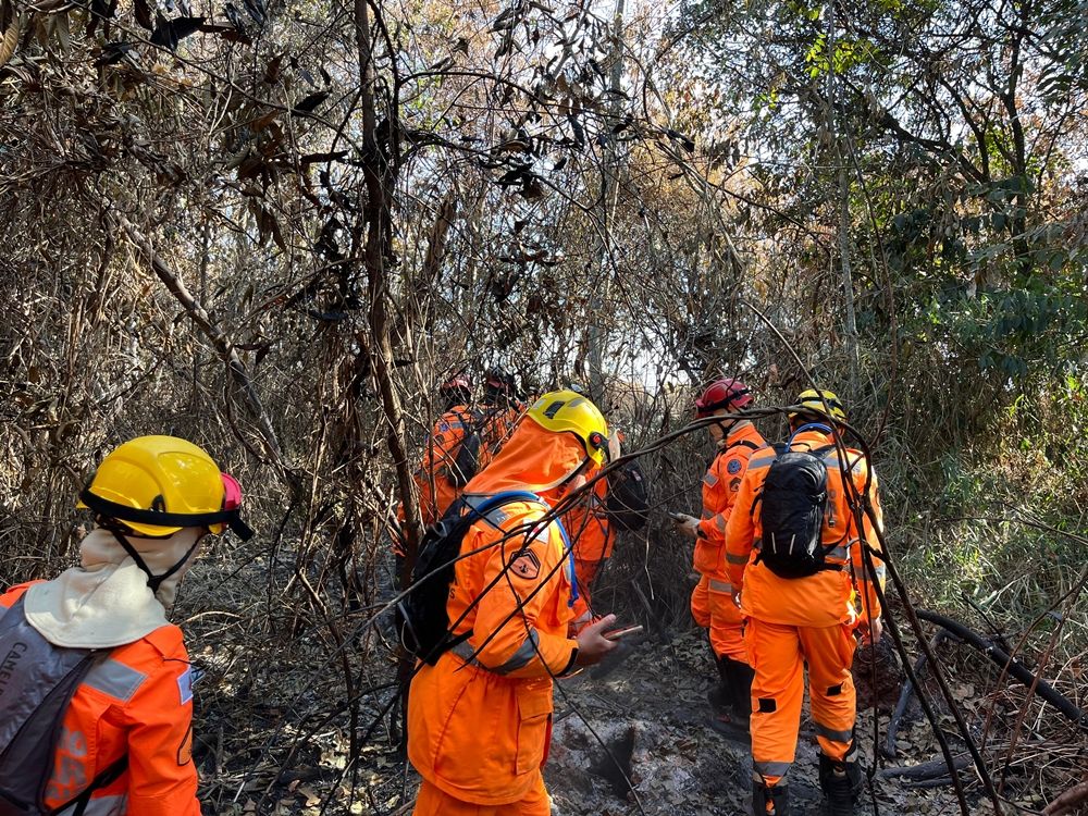 Corpo de Bombeiros realiza treinamento na Mata do Cachorro | Patos Agora - A notícia no seu tempo - https://patosagora.net