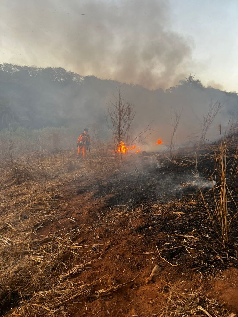 Incêndio destrói 83 hectares em área de pastagem e reserva em Patos de Minas | Patos Agora - A notícia no seu tempo - https://patosagora.net