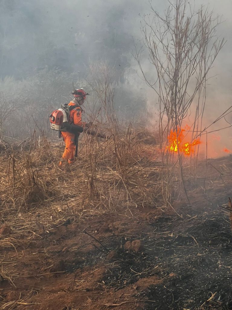 Incêndio destrói 83 hectares em área de pastagem e reserva em Patos de Minas | Patos Agora - A notícia no seu tempo - https://patosagora.net