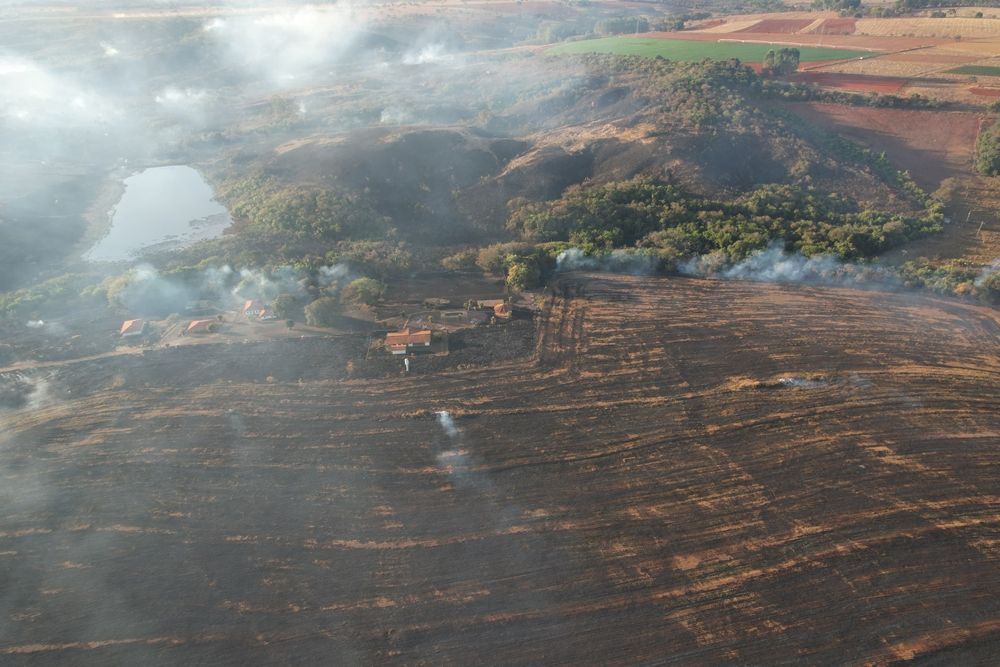 Incêndio de grandes proporções consome mais de 300 hectares na região de Capão das Canoas  | Patos Agora - A notícia no seu tempo - https://patosagora.net