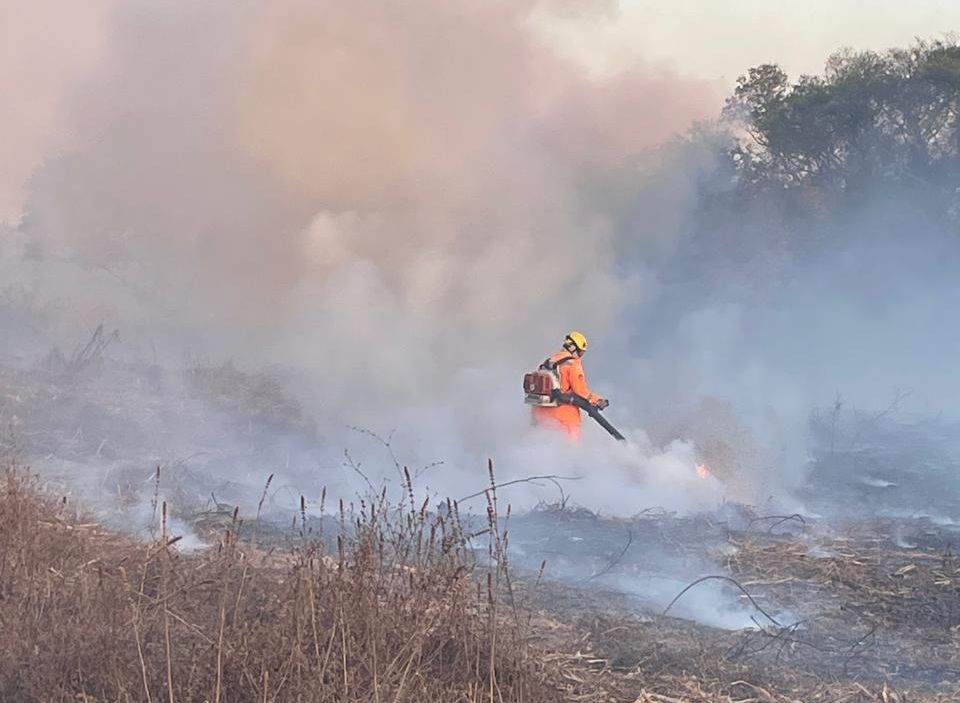 Incêndio de grandes proporções consome mais de 300 hectares na região de Capão das Canoas  | Patos Agora - A notícia no seu tempo - https://patosagora.net