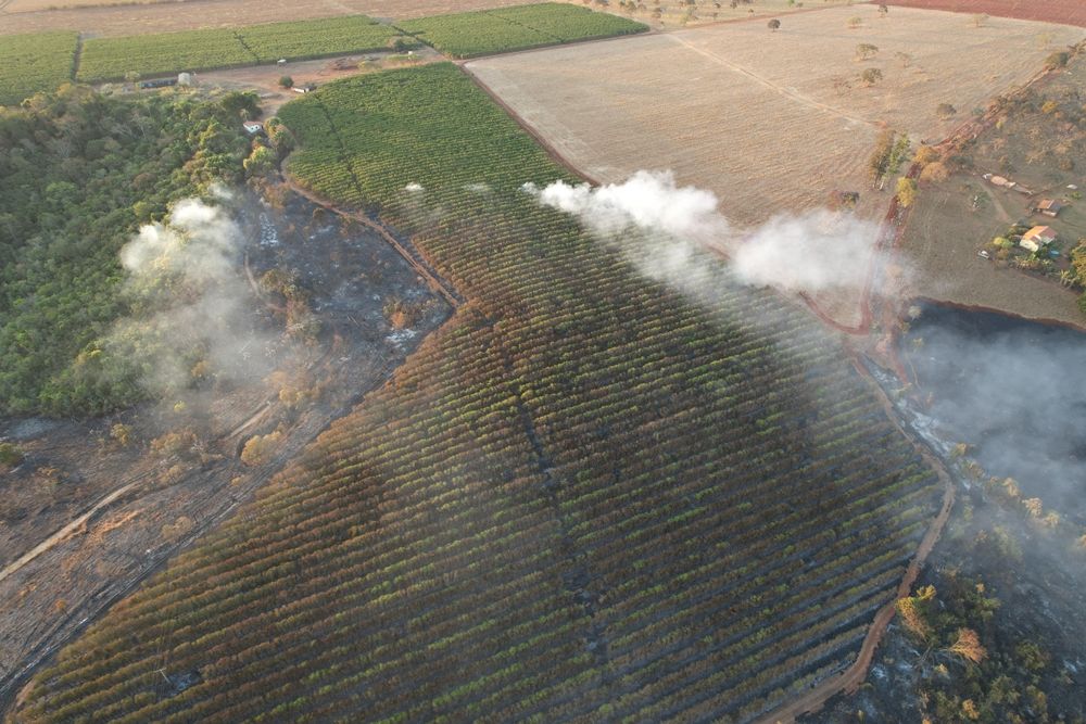 Incêndio de grandes proporções consome mais de 300 hectares na região de Capão das Canoas  | Patos Agora - A notícia no seu tempo - https://patosagora.net