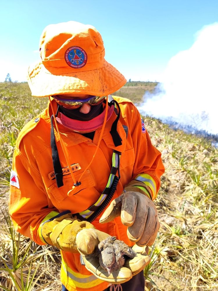 Incêndio consome cerca de 1000 hectares na zona rural de Coromandel | Patos Agora - A notícia no seu tempo - https://patosagora.net