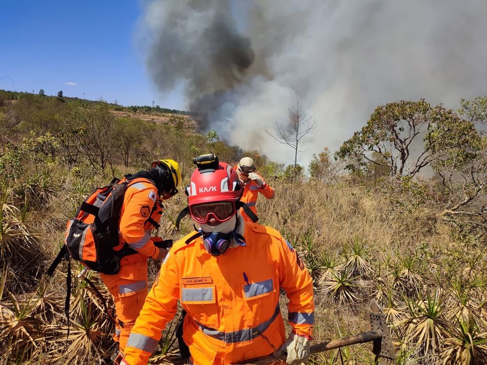 Incêndio consome cerca de 1000 hectares na zona rural de Coromandel | Patos Agora - A notícia no seu tempo - https://patosagora.net