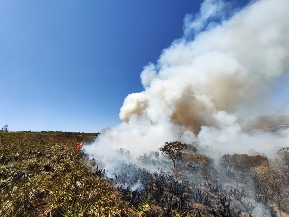 Incêndio consome cerca de 1000 hectares na zona rural de Coromandel | Patos Agora - A notícia no seu tempo - https://patosagora.net