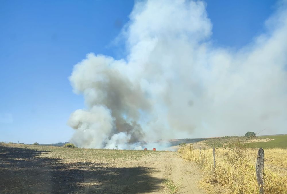 Incêndio consome cerca de 1000 hectares na zona rural de Coromandel | Patos Agora - A notícia no seu tempo - https://patosagora.net