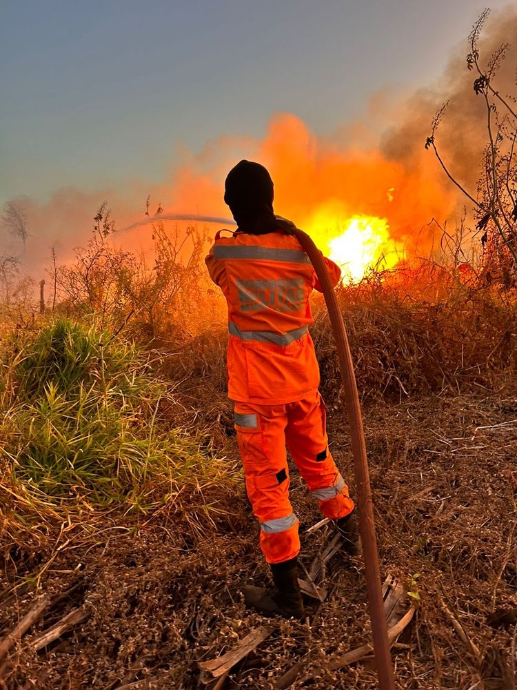 Bombeiros atendem mais um grande incêndio na área rural de Patos de Minas | Patos Agora - A notícia no seu tempo - https://patosagora.net