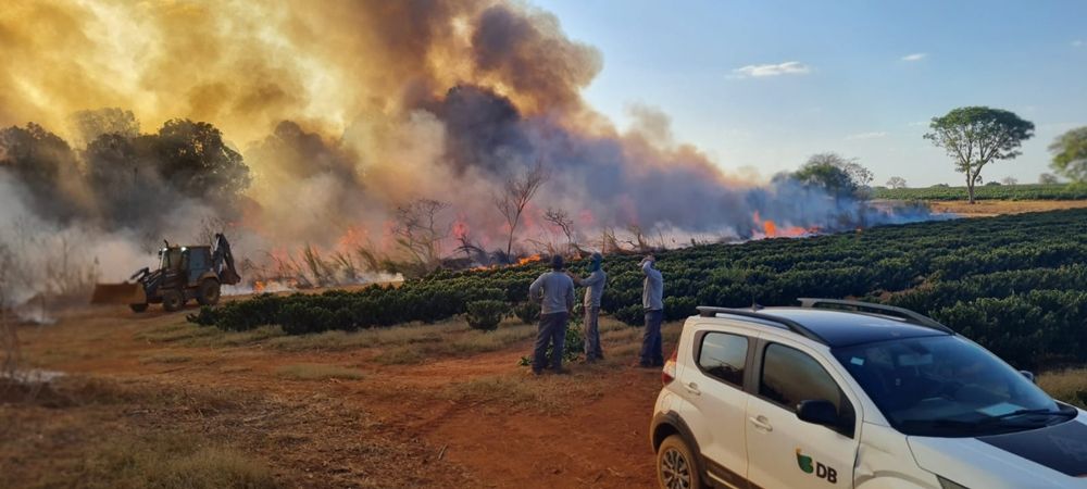 Bombeiros atendem mais um grande incêndio na área rural de Patos de Minas | Patos Agora - A notícia no seu tempo - https://patosagora.net