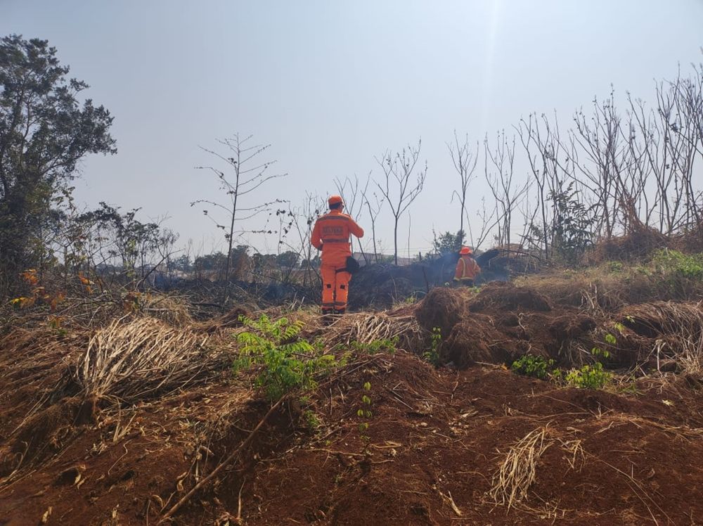 Bombeiros combatem incêndio na Mata do Catingueiro; há suspeitas de que o incêndio tenha sido criminoso | Patos Agora - A notícia no seu tempo - https://patosagora.net