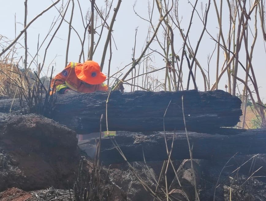 Bombeiros combatem incêndio na Mata do Catingueiro; há suspeitas de que o incêndio tenha sido criminoso | Patos Agora - A notícia no seu tempo - https://patosagora.net