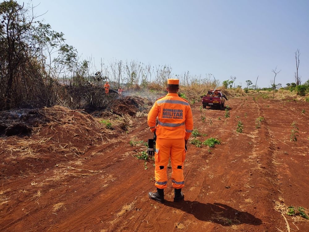 Bombeiros combatem incêndio na Mata do Catingueiro; há suspeitas de que o incêndio tenha sido criminoso | Patos Agora - A notícia no seu tempo - https://patosagora.net