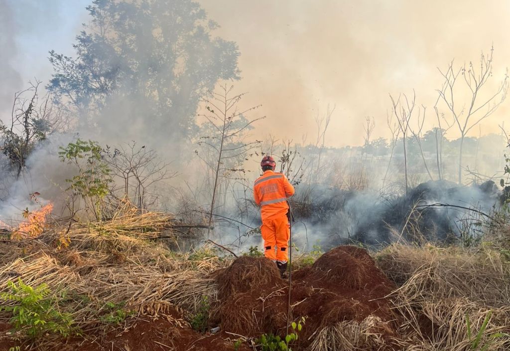 Bombeiros combatem incêndio na Mata do Catingueiro; há suspeitas de que o incêndio tenha sido criminoso | Patos Agora - A notícia no seu tempo - https://patosagora.net