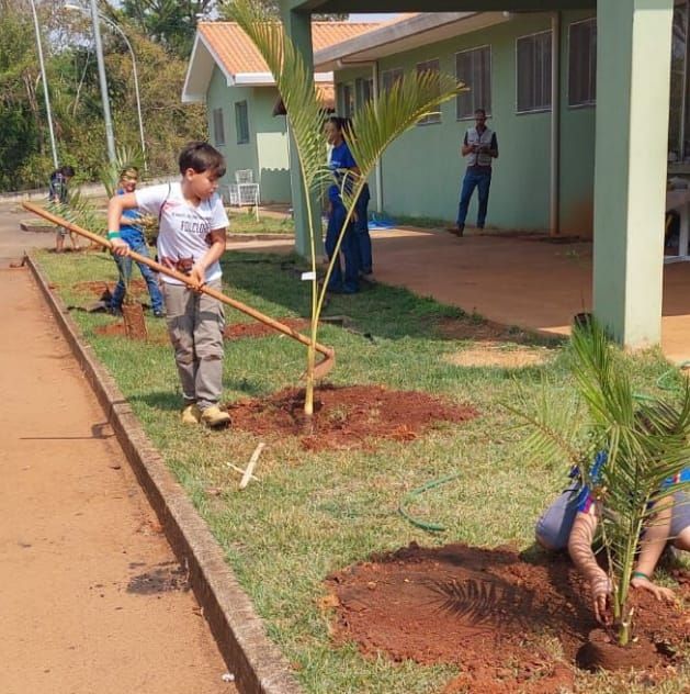 Dia da árvore é celebrado em Patos de Minas com plantio de mudas no Cetras | Patos Agora - A notícia no seu tempo - https://patosagora.net