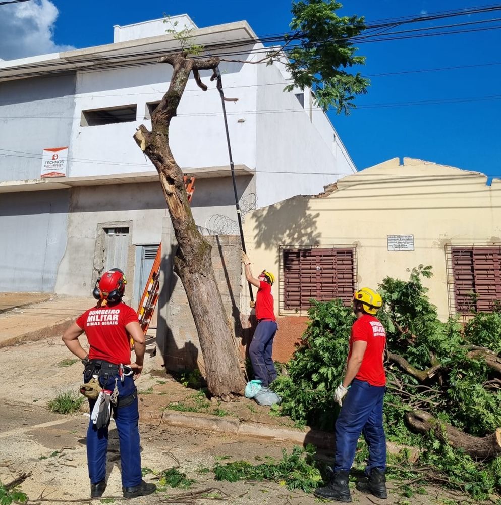 Corpo de Bombeiros corta árvore com risco de queda na Rua Mata dos Fernandes | Patos Agora - A notícia no seu tempo - https://patosagora.net