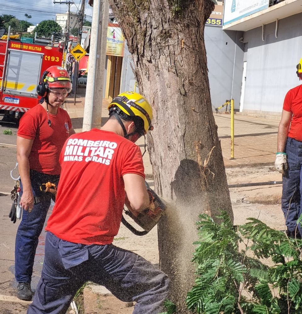 Corpo de Bombeiros corta árvore com risco de queda na Rua Mata dos Fernandes | Patos Agora - A notícia no seu tempo - https://patosagora.net