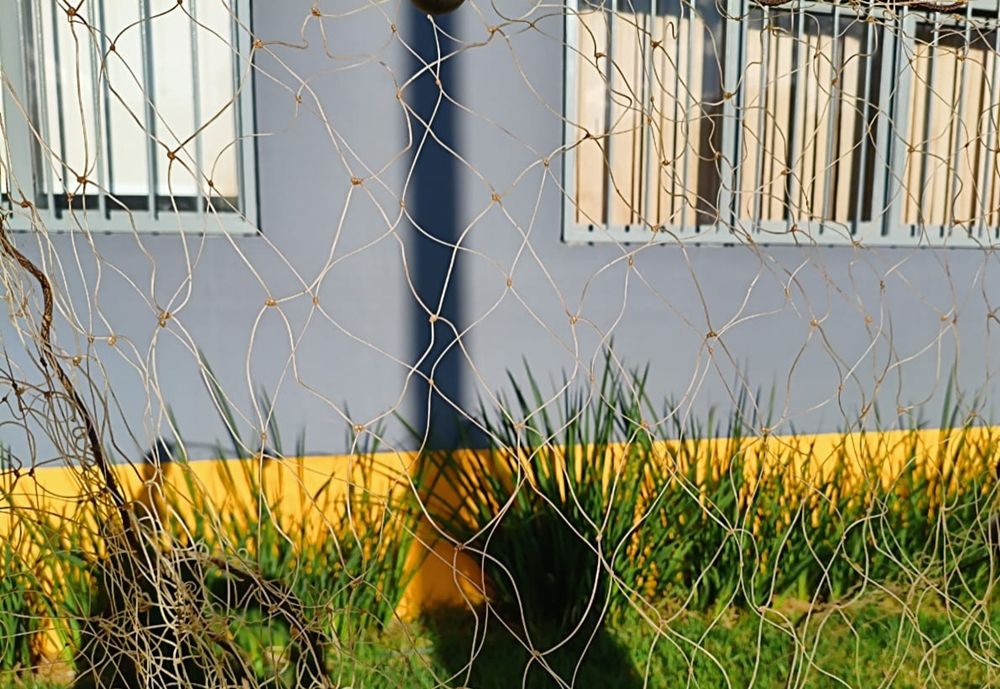 PM de Meio Ambiente apreende 10 kg de pescado e redes em alojamento de draga | Patos Agora - A notícia no seu tempo - https://patosagora.net