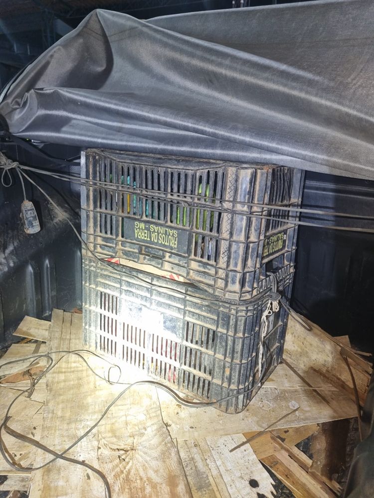 Polícia Militar Rodoviária recupera carro clonado e resgata aves silvestres em condições de maus-tratos na MGC-354 | Patos Agora - A notícia no seu tempo - https://patosagora.net