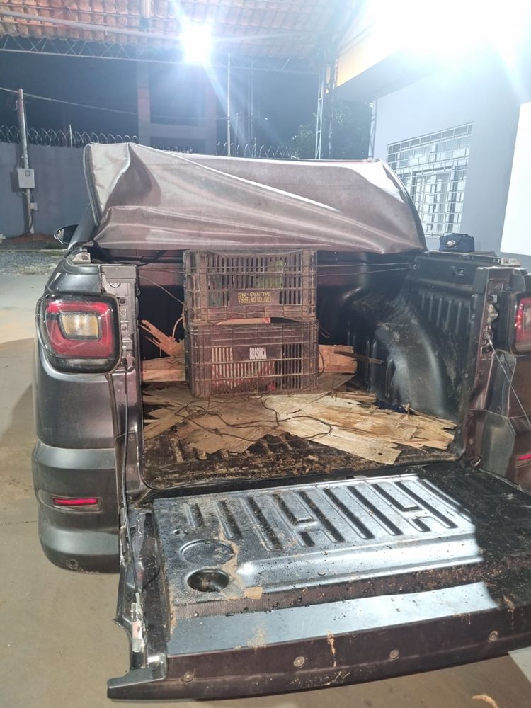 Polícia Militar Rodoviária recupera carro clonado e resgata aves silvestres em condições de maus-tratos na MGC-354 | Patos Agora - A notícia no seu tempo - https://patosagora.net