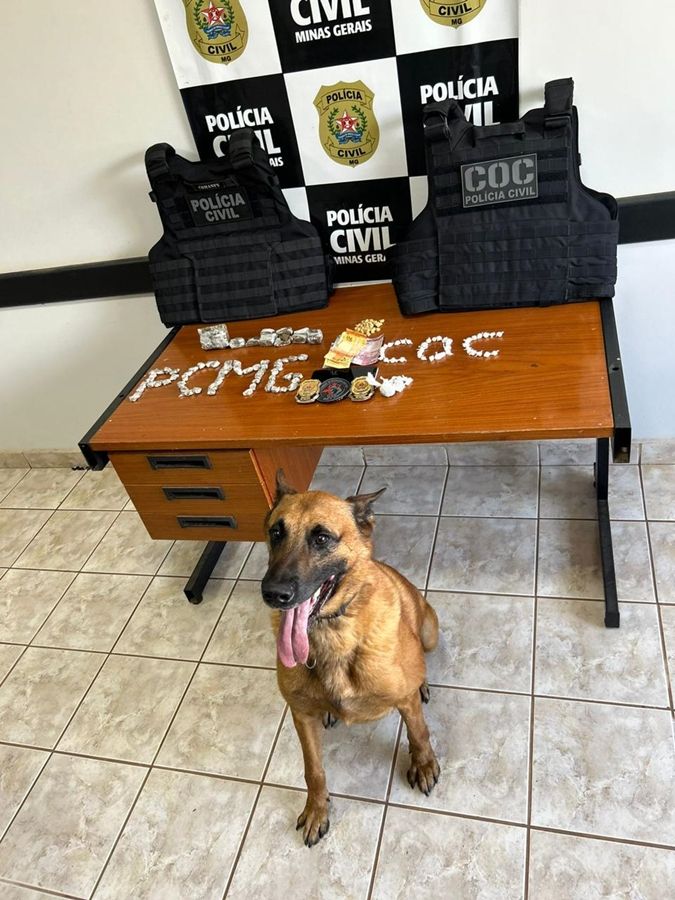 Polícia Militar e Civil cumprem mandados e desarticulam rede de tráfico em São Gotardo | Patos Agora - A notícia no seu tempo - https://patosagora.net