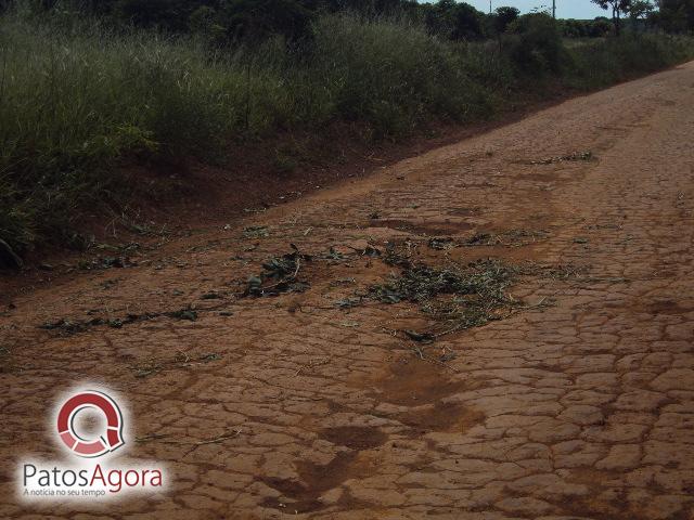 Feed do PatosAgora | Patos Agora - A notícia no seu tempo - https://patosagora.net