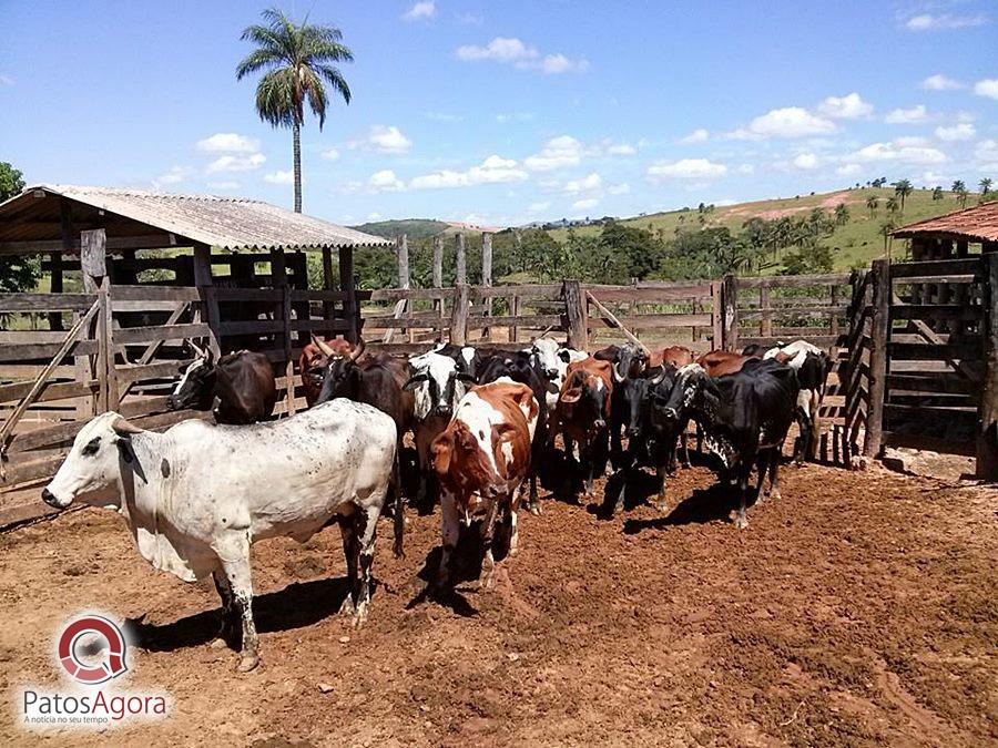 Feed do PatosAgora | Patos Agora - A notícia no seu tempo - https://patosagora.net