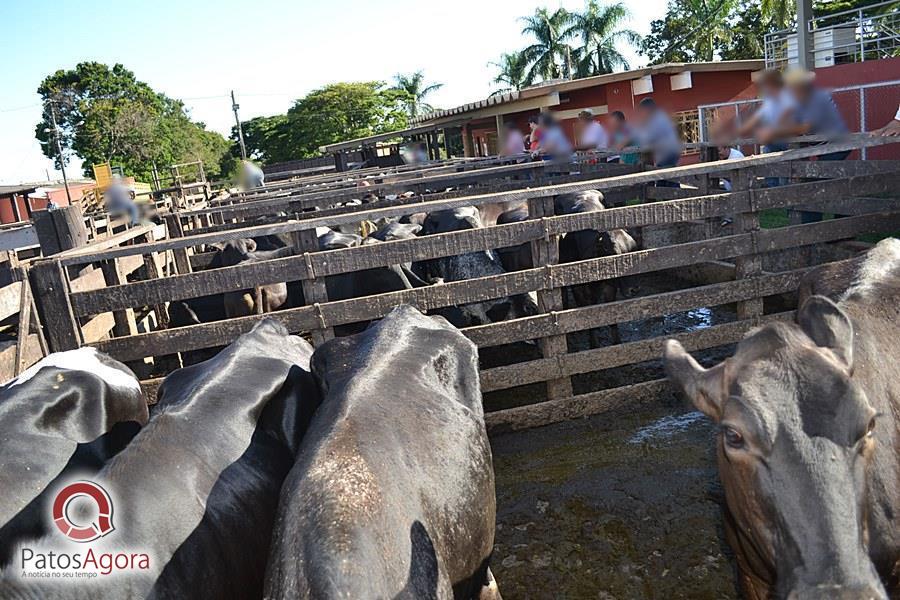 Feed do PatosAgora | Patos Agora - A notícia no seu tempo - https://patosagora.net