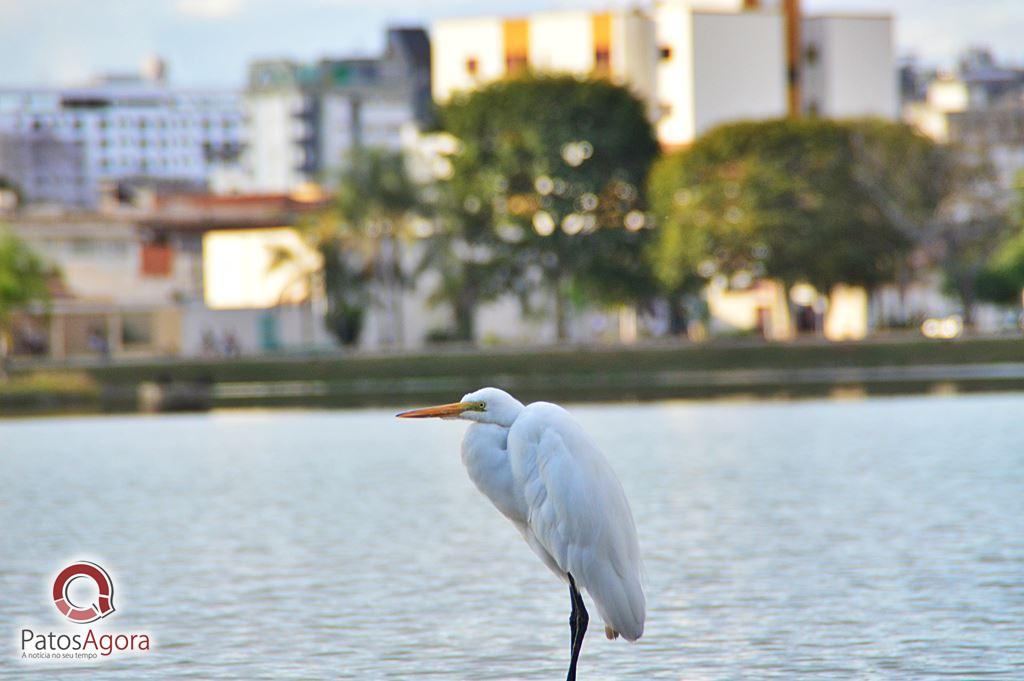 Feed do PatosAgora | Patos Agora - A notícia no seu tempo - https://patosagora.net