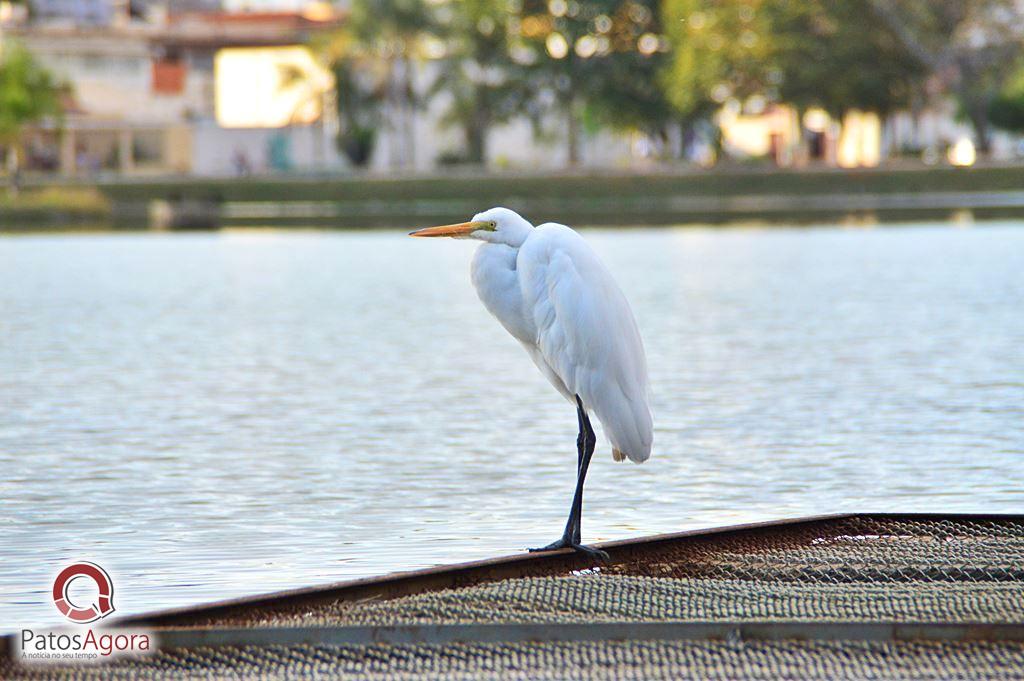 Feed do PatosAgora | Patos Agora - A notícia no seu tempo - https://patosagora.net