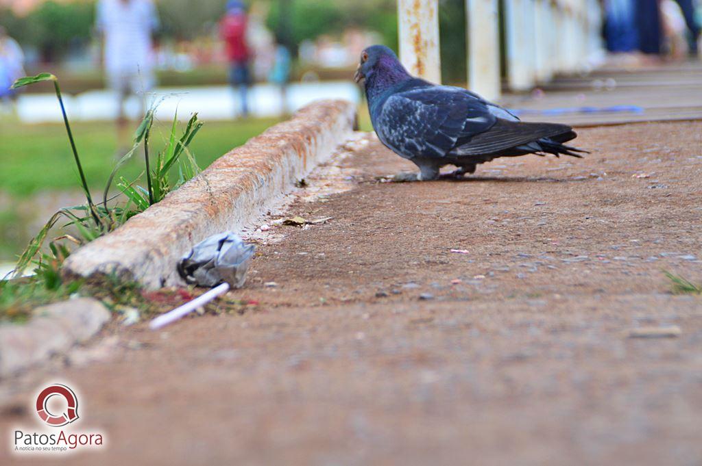 Feed do PatosAgora | Patos Agora - A notícia no seu tempo - https://patosagora.net