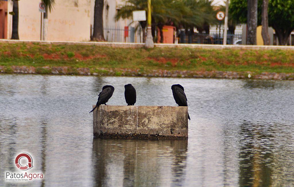 Feed do PatosAgora | Patos Agora - A notícia no seu tempo - https://patosagora.net