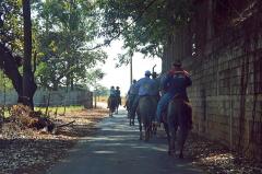 Cavalgada Beneficente do 15º Batalhão de Patos de Minas | Patos Agora - A notícia no seu tempo - https://patosagora.net