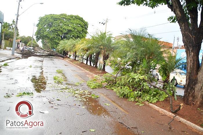 Feed do PatosAgora | Patos Agora - A notícia no seu tempo - https://patosagora.net