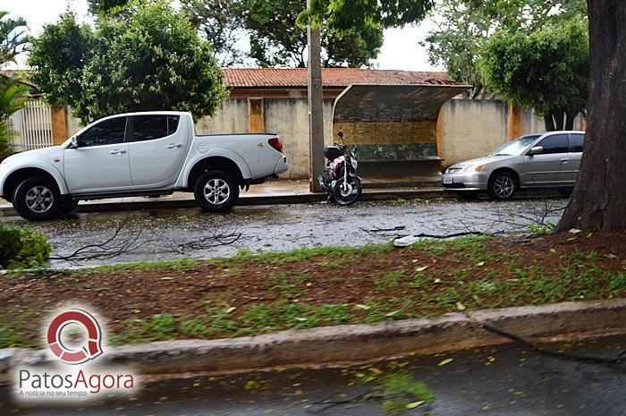 Feed do PatosAgora | Patos Agora - A notícia no seu tempo - https://patosagora.net