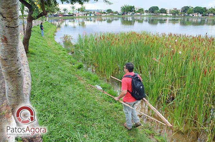 Feed do PatosAgora | Patos Agora - A notícia no seu tempo - https://patosagora.net