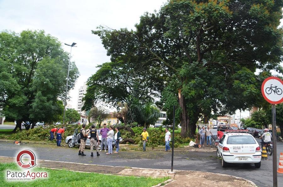 Galho enorme cai em cima de dois carros no centro de Patos de Minas | Patos Agora - A notícia no seu tempo - https://patosagora.net
