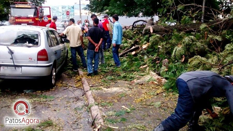 Galho enorme cai em cima de dois carros no centro de Patos de Minas | Patos Agora - A notícia no seu tempo - https://patosagora.net
