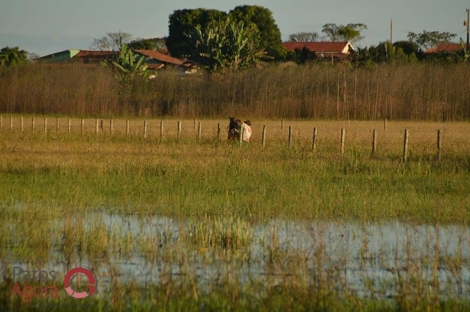 Feed do PatosAgora | Patos Agora - A notícia no seu tempo - https://patosagora.net