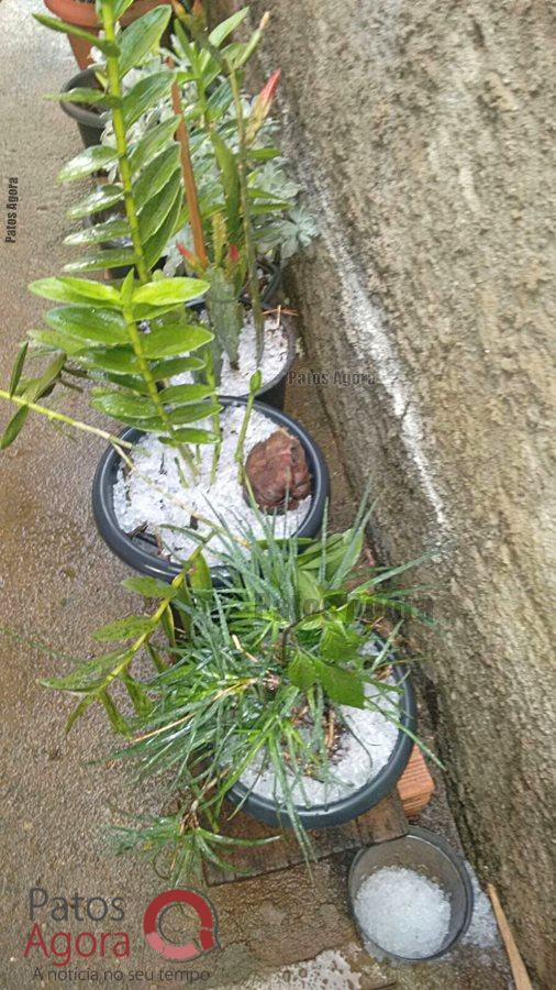 Urgente: Chuva de granizo causa estragos em São Gotardo  | Patos Agora - A notícia no seu tempo - https://patosagora.net