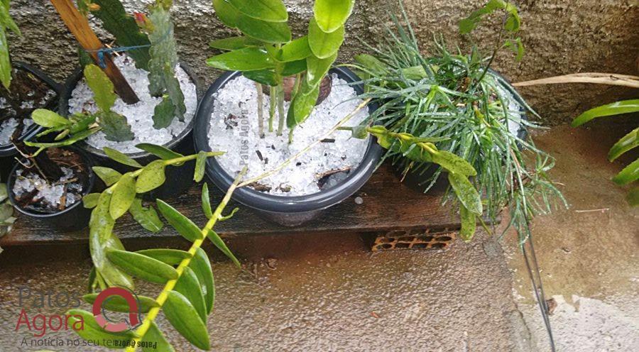 Urgente: Chuva de granizo causa estragos em São Gotardo  | Patos Agora - A notícia no seu tempo - https://patosagora.net