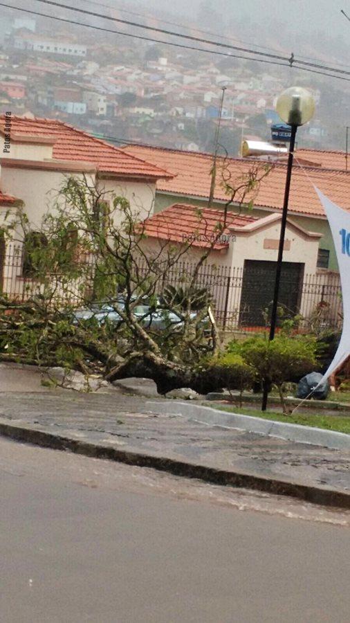 Urgente: Chuva de granizo causa estragos em São Gotardo  | Patos Agora - A notícia no seu tempo - https://patosagora.net