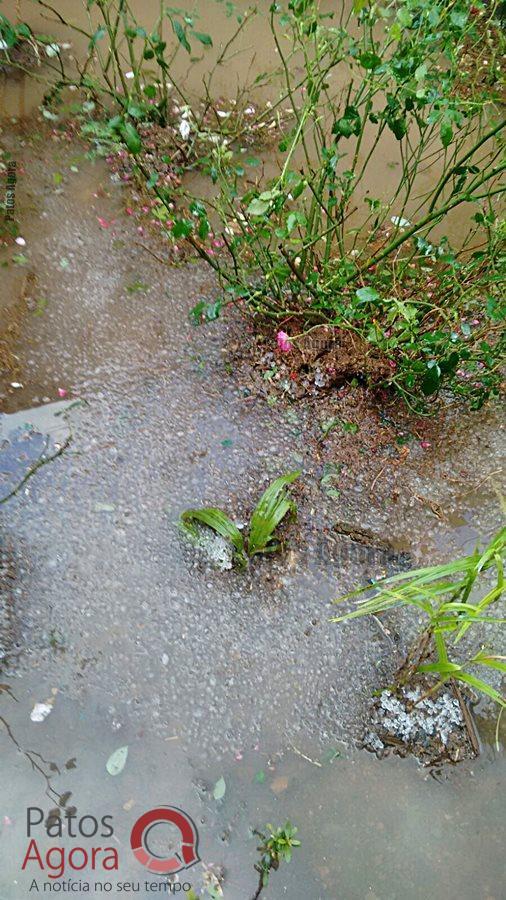 Urgente: Chuva de granizo causa estragos em São Gotardo  | Patos Agora - A notícia no seu tempo - https://patosagora.net