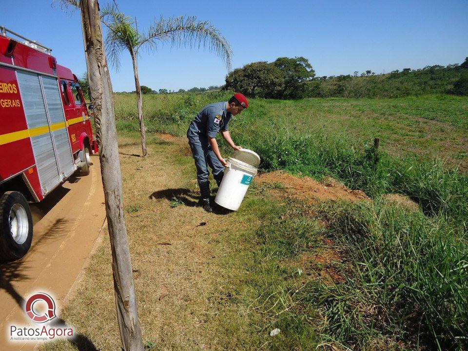 Feed do PatosAgora | Patos Agora - A notícia no seu tempo - https://patosagora.net