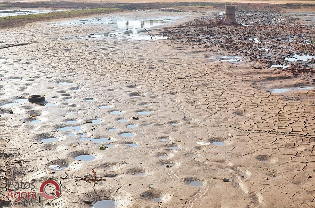 Cágados não retirados da Lagoa Grande sofrem com ambiente seco e atropelamentos | Patos Agora - A notícia no seu tempo - https://patosagora.net