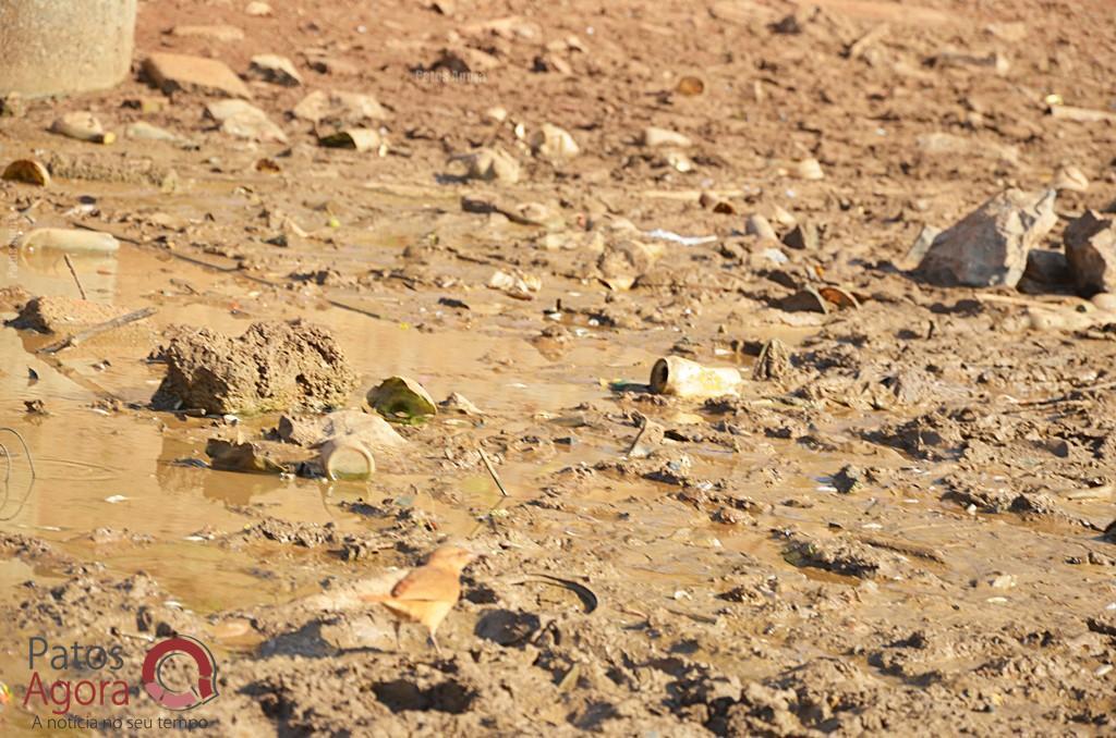 Cágados não retirados da Lagoa Grande sofrem com ambiente seco e atropelamentos | Patos Agora - A notícia no seu tempo - https://patosagora.net