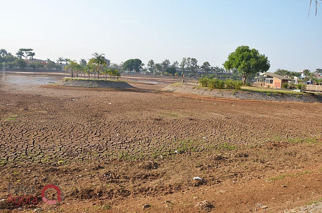 Cágados não retirados da Lagoa Grande sofrem com ambiente seco e atropelamentos | Patos Agora - A notícia no seu tempo - https://patosagora.net